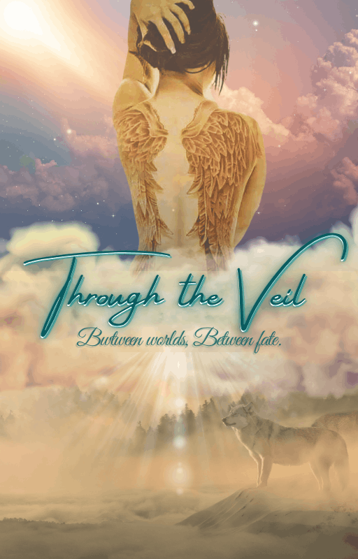Through the Veil book cover